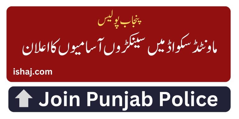 Punjab Police Mounted Squad Jobs 2024 in Punjab Constabulary