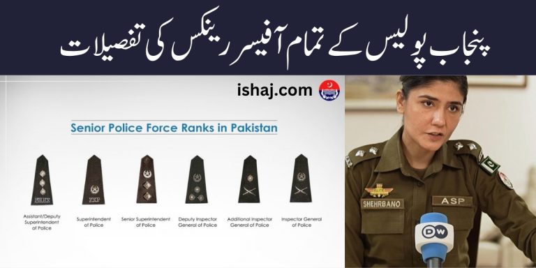 Punjab Police Ranks